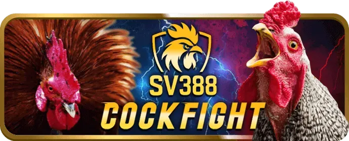 Slot game và Nổ Hũ tại XD68